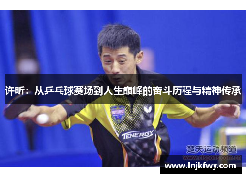 许昕：从乒乓球赛场到人生巅峰的奋斗历程与精神传承