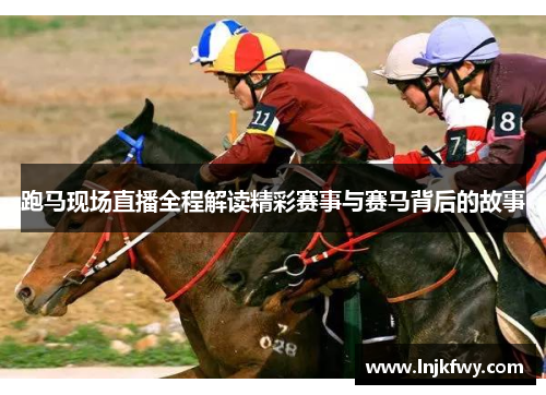 跑马现场直播全程解读精彩赛事与赛马背后的故事