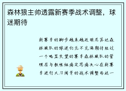 森林狼主帅透露新赛季战术调整，球迷期待